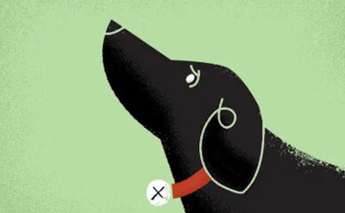 Чоловіка, який вбив в Києві собаку на очах у дітей, засудили до 7,5 років тюрми