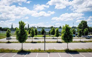 У Львові затвердили стандарт озеленення парковок: 1 дерево на 5 автівок