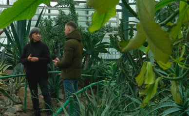 У ботсаду Києва зафіксували критичне зниження температури в оранжереях