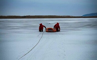 На Київщині рятувальники витягли собаку з крижаної води Дніпра